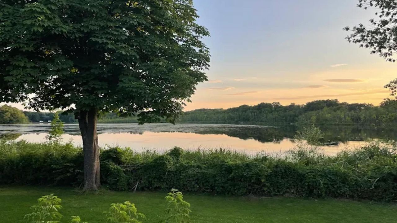 AreaSummer5KM AreaSummer5KM